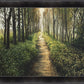 Enjoy The Beauty On Your Broken Path, Forest Walkway