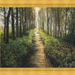 Enjoy The Beauty On Your Broken Path, Forest Walkway