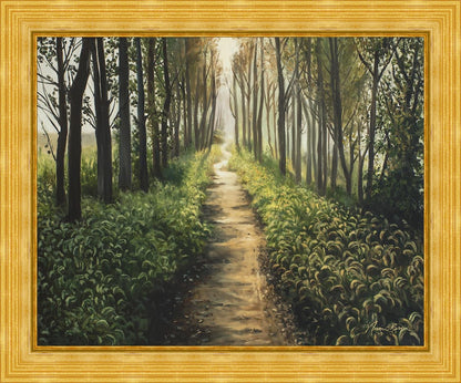 Enjoy The Beauty On Your Broken Path, Forest Walkway