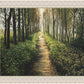 Enjoy The Beauty On Your Broken Path, Forest Walkway