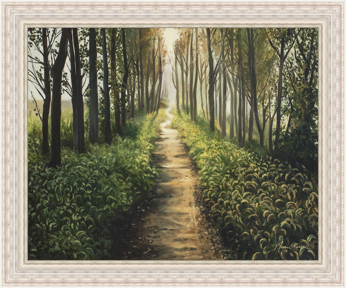 Enjoy The Beauty On Your Broken Path, Forest Walkway