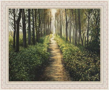 Enjoy The Beauty On Your Broken Path, Forest Walkway