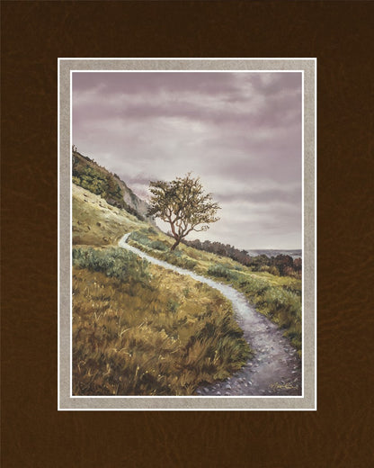 Enjoy the Beauty on your Broken Path Mountain Top