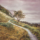 Enjoy the Beauty on your Broken Path Mountain Top
