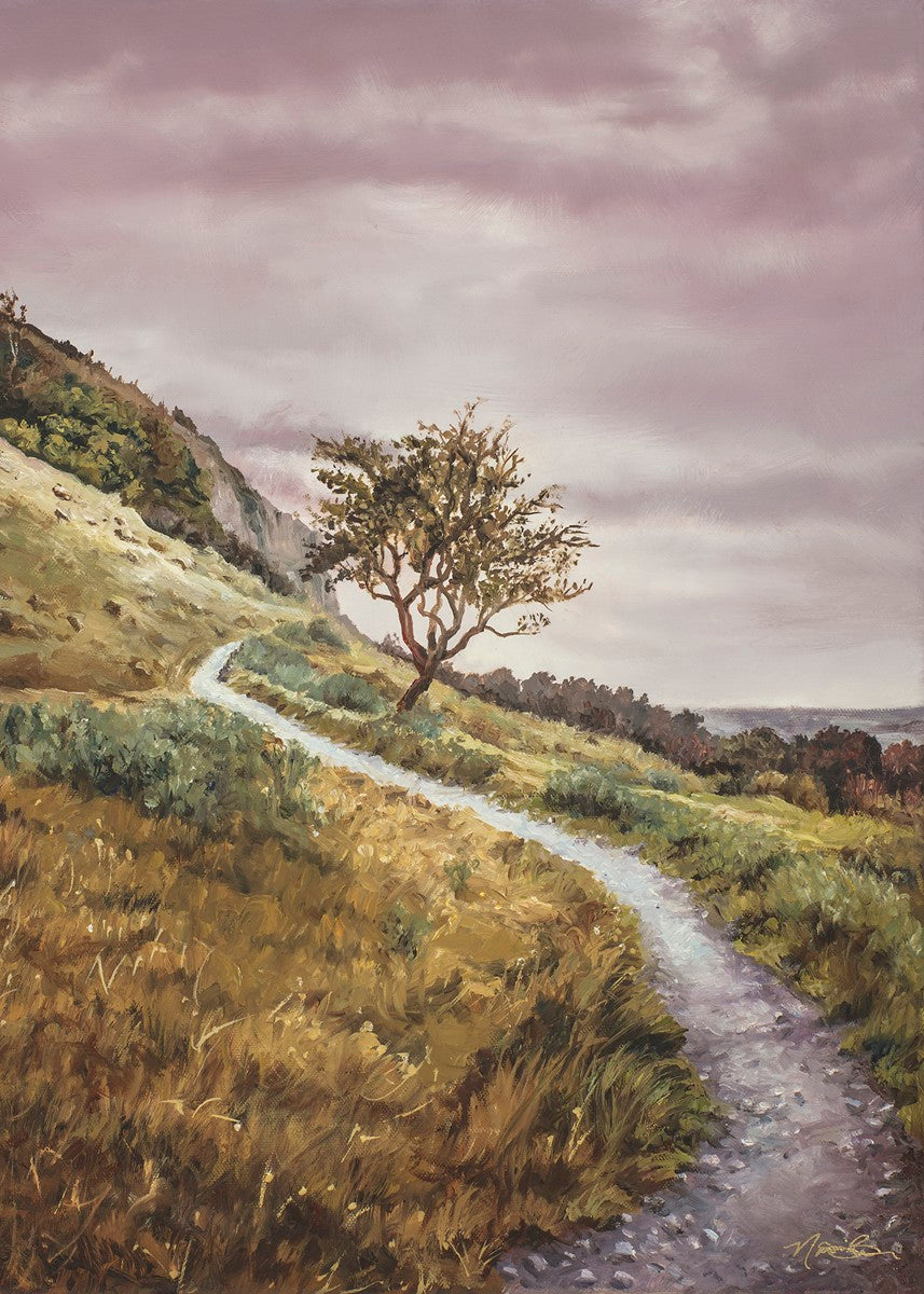 Enjoy the Beauty on your Broken Path Mountain Top