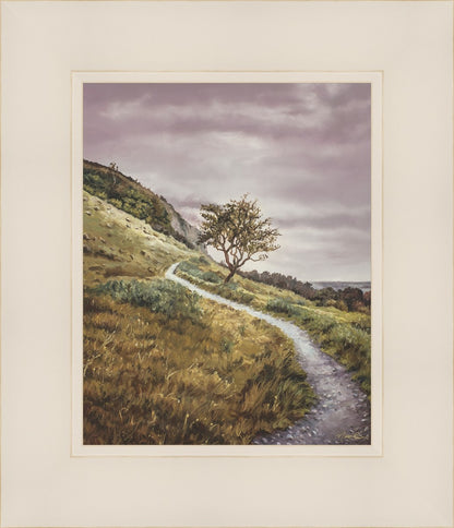 Enjoy the Beauty on your Broken Path Mountain Top