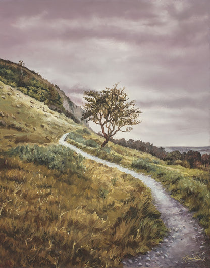 Enjoy the Beauty on your Broken Path Mountain Top