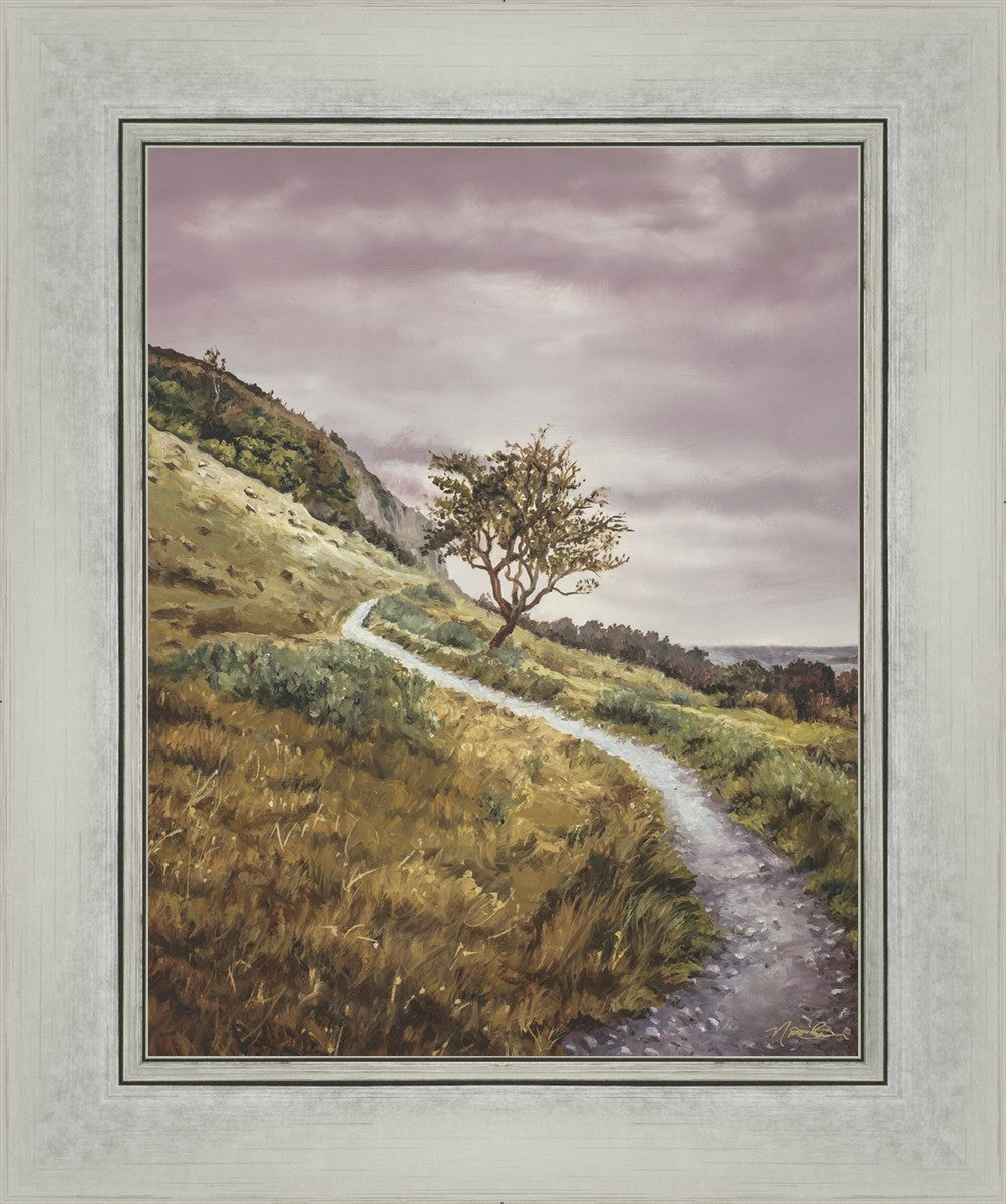 Enjoy the Beauty on your Broken Path Mountain Top