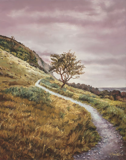 Enjoy the Beauty on your Broken Path Mountain Top