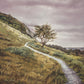 Enjoy the Beauty on your Broken Path Mountain Top
