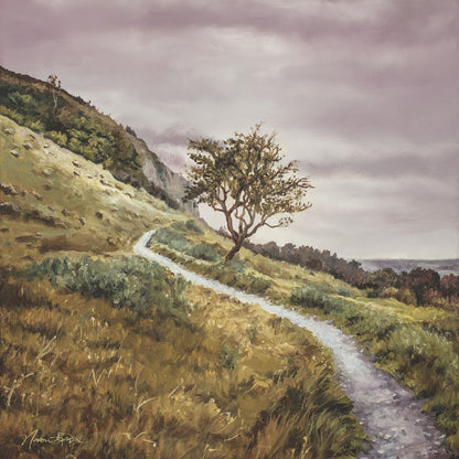 Enjoy the Beauty on your Broken Path Mountain Top