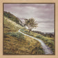 Enjoy the Beauty on your Broken Path Mountain Top