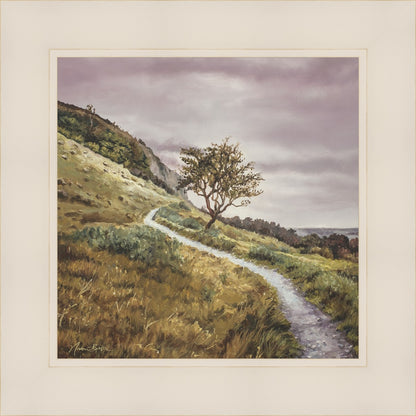 Enjoy the Beauty on your Broken Path Mountain Top