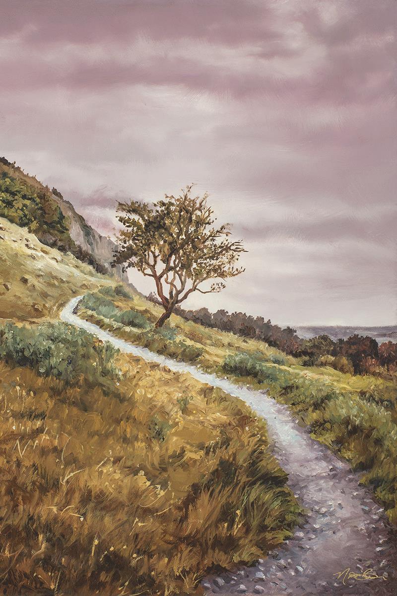 Enjoy the Beauty on your Broken Path Mountain Top