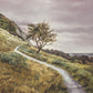 Enjoy the Beauty on your Broken Path Mountain Top