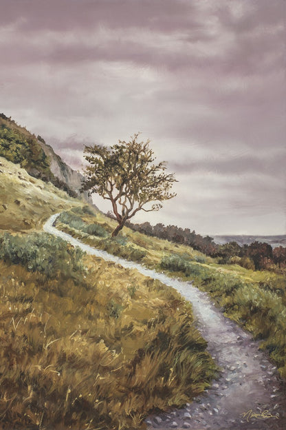 Enjoy the Beauty on your Broken Path Mountain Top