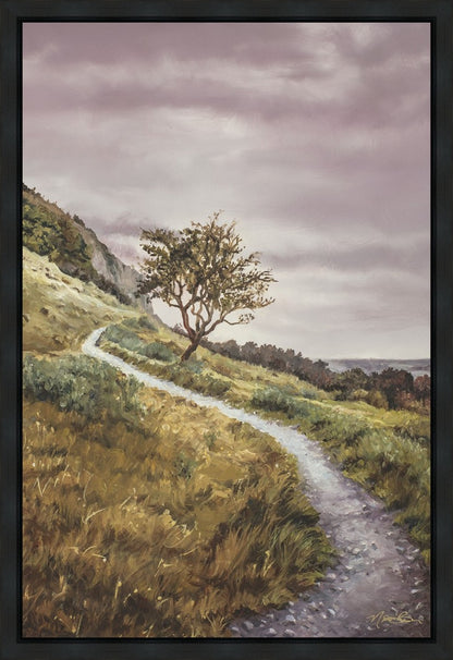 Enjoy the Beauty on your Broken Path Mountain Top