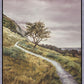 Enjoy the Beauty on your Broken Path Mountain Top