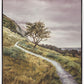 Enjoy the Beauty on your Broken Path Mountain Top