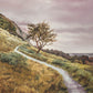 Enjoy the Beauty on your Broken Path Mountain Top