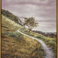 Enjoy the Beauty on your Broken Path Mountain Top