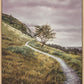 Enjoy the Beauty on your Broken Path Mountain Top