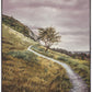 Enjoy the Beauty on your Broken Path Mountain Top