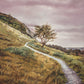 Enjoy the Beauty on your Broken Path Mountain Top