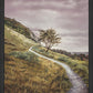 Enjoy the Beauty on your Broken Path Mountain Top
