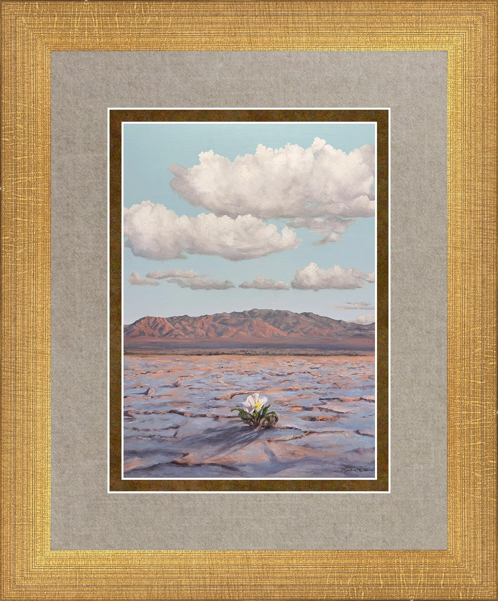 Bloom Where You Are Planted