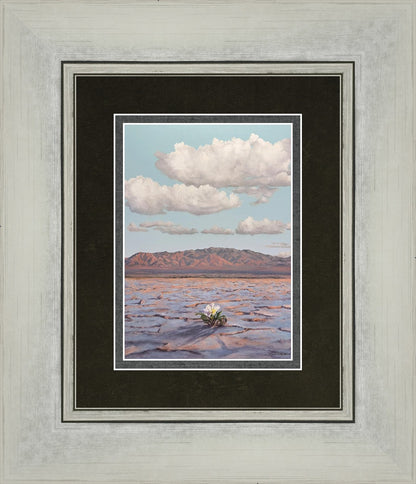 Bloom Where You Are Planted