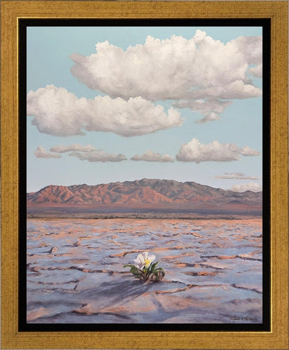 Bloom Where You Are Planted