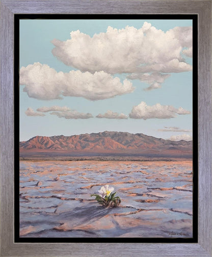 Bloom Where You Are Planted