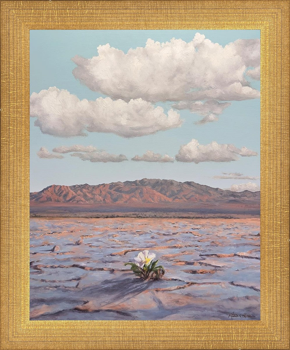 Bloom Where You Are Planted