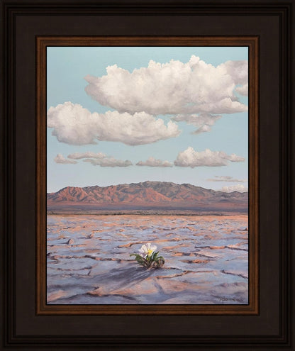 Bloom Where You Are Planted