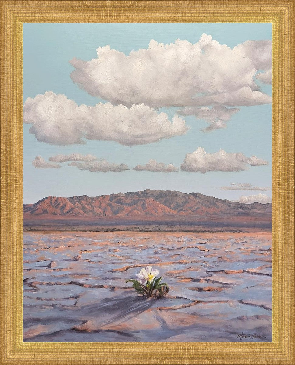 Bloom Where You Are Planted