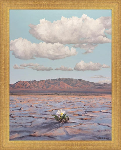 Bloom Where You Are Planted