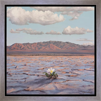 Bloom Where You Are Planted