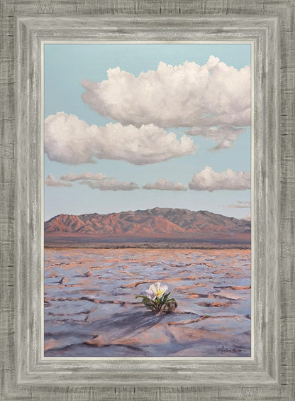 Bloom Where You Are Planted