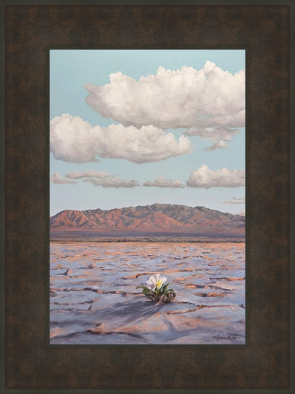 Bloom Where You Are Planted