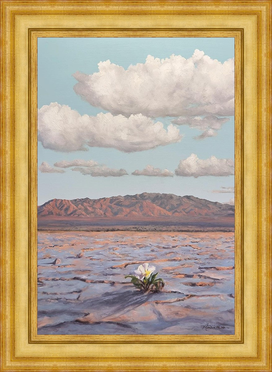 Bloom Where You Are Planted