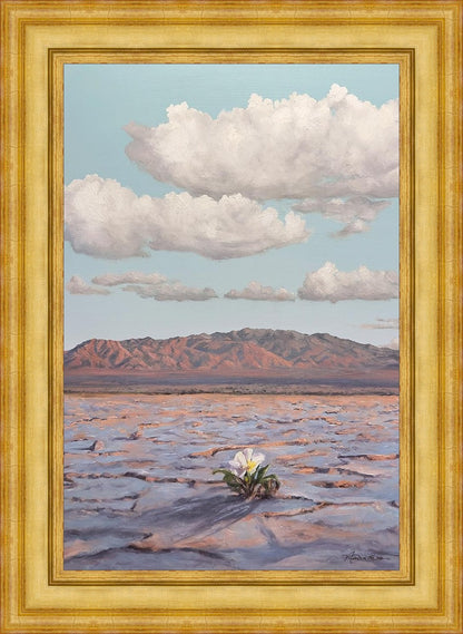 Bloom Where You Are Planted