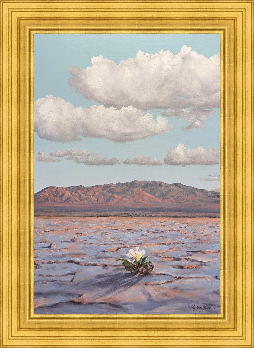 Bloom Where You Are Planted