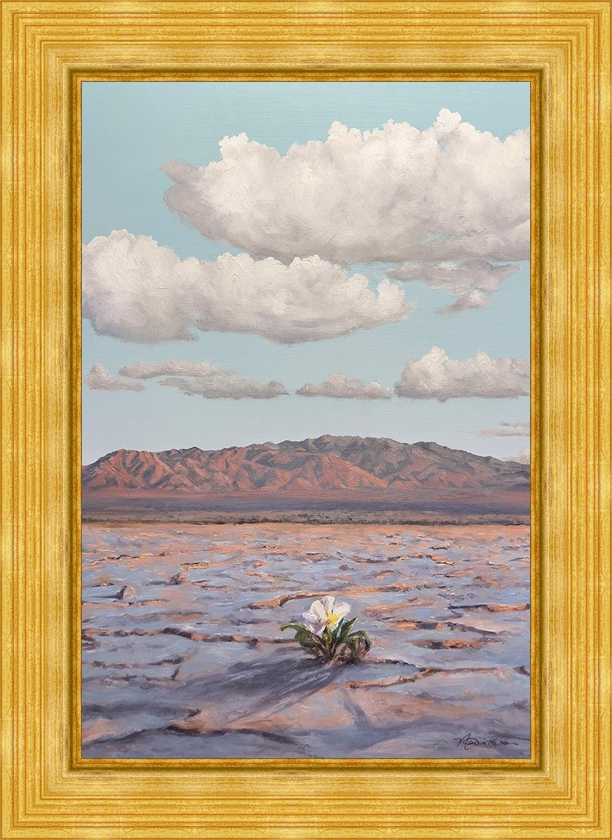 Bloom Where You Are Planted