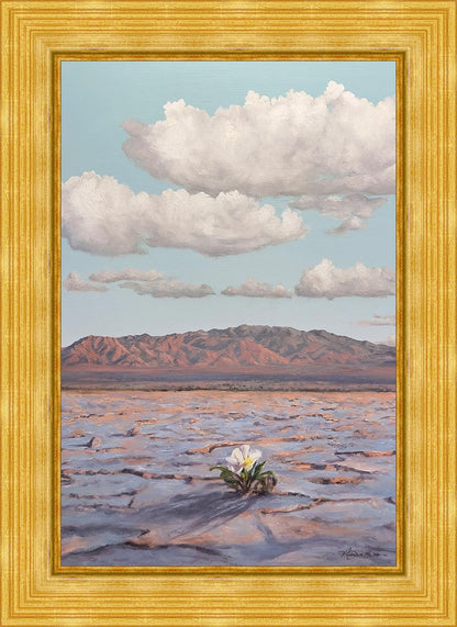 Bloom Where You Are Planted