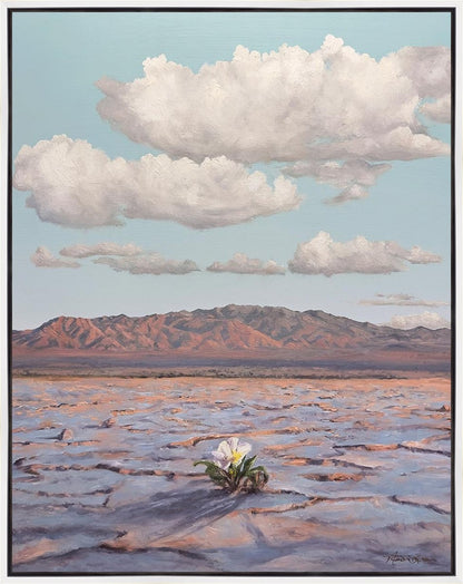 Bloom Where You Are Planted