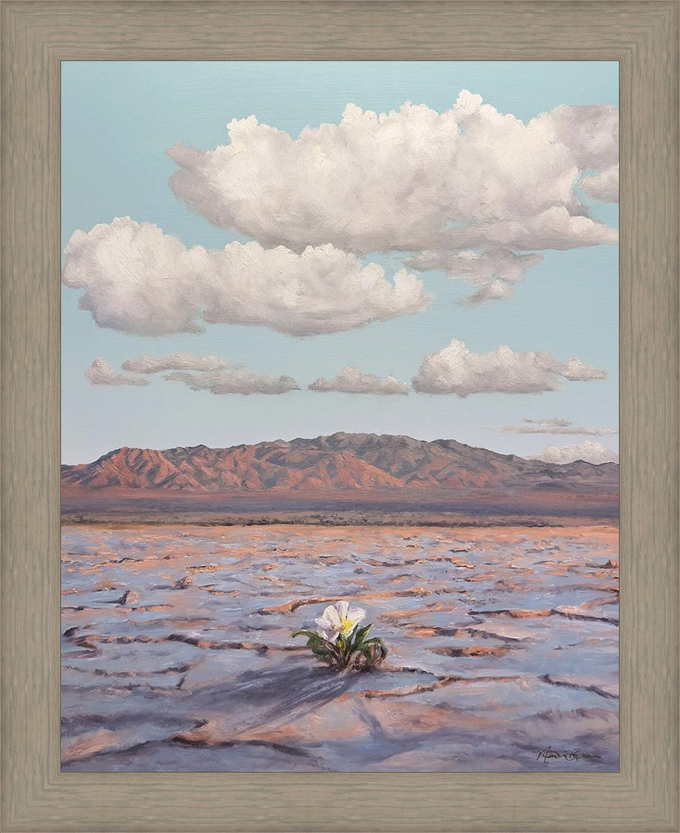 Bloom Where You Are Planted