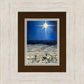 The Shepherds Rejoiced