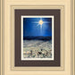 The Shepherds Rejoiced