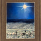 The Shepherds Rejoiced